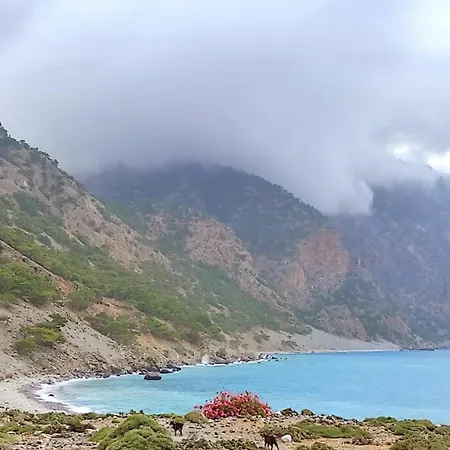 Zorbas * Agia Roumeli