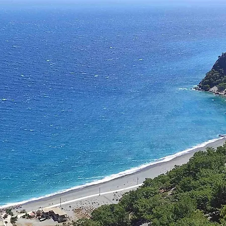 Zorbas *